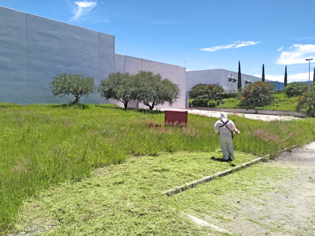 Áreas verdes