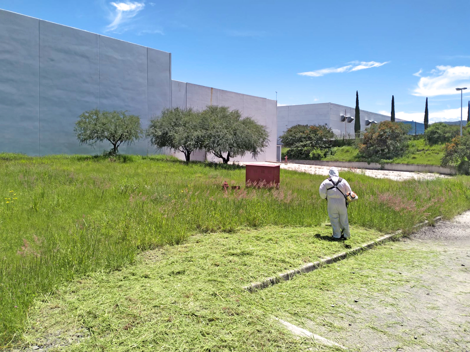 Áreas verdes